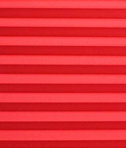 Basicline Primera rot