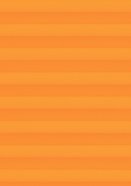 Cara orange