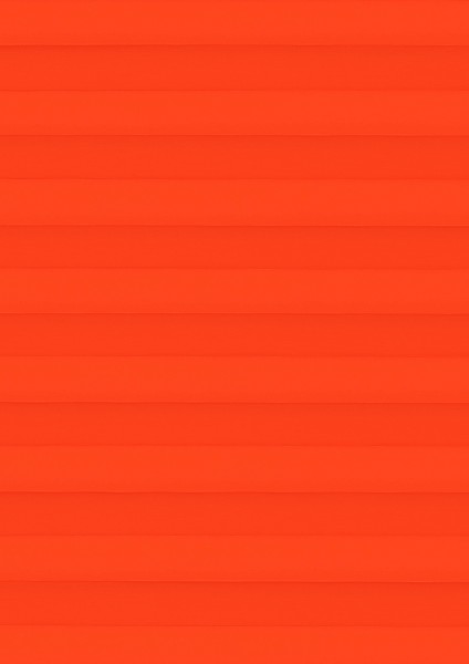 Palado orange