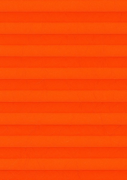 Cara Crush orange