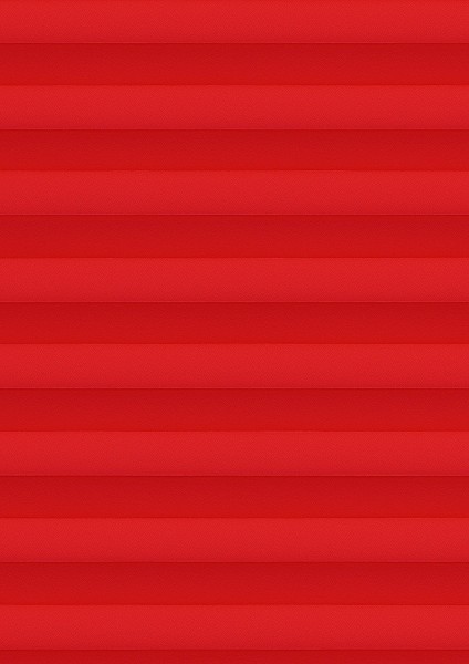 Cara B1 rot
