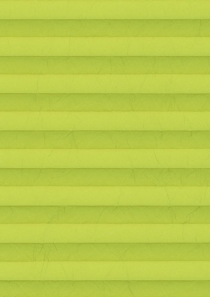 Cara Crush Perlmutt Color grün