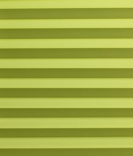Basicline Primera grün